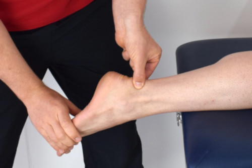ankle